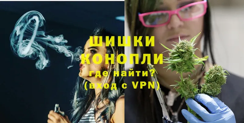 где можно купить   Сыктывкар  Конопля SATIVA & INDICA 